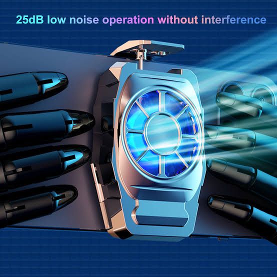 WhatsApp Image 2024-06-29 at 00.16.03 (1)