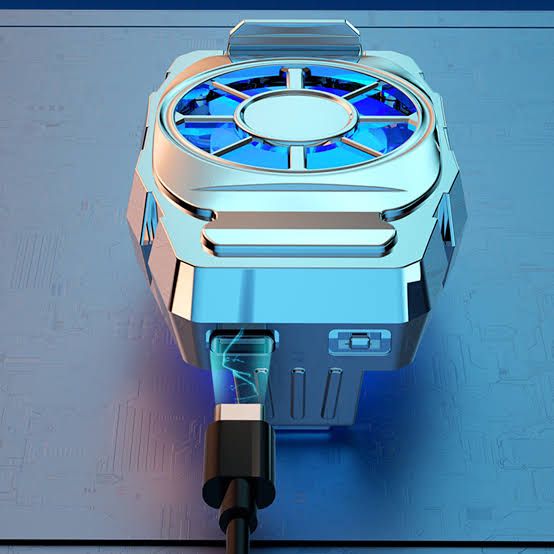 WhatsApp Image 2024-06-29 at 00.16.03